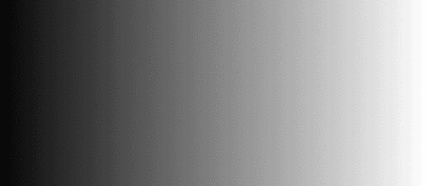 Rimobit Infotech | Web Development, App Development & Digital Marketing